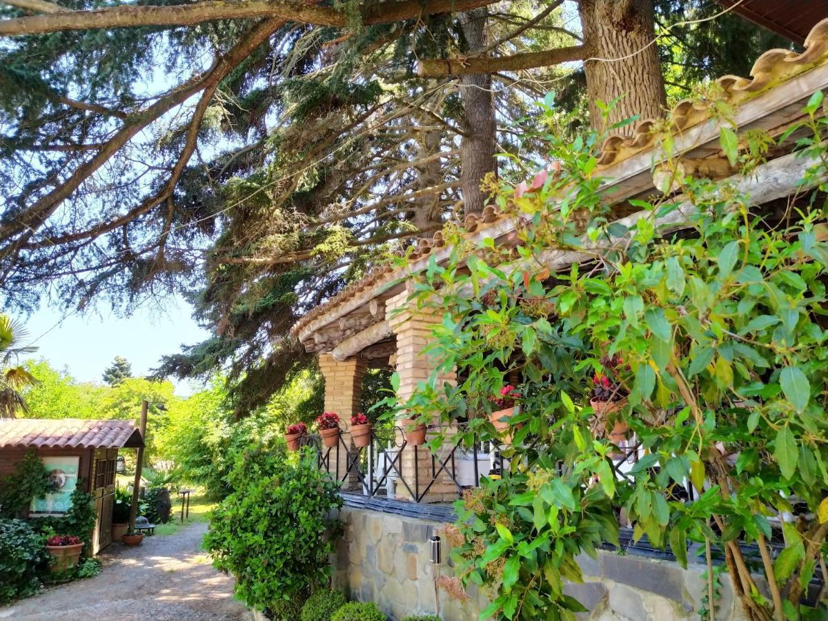 פובלט Masia Sagues מראה חיצוני תמונה